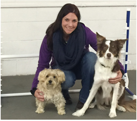 Agility Junkies